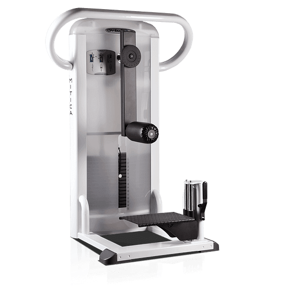 Máquina de Glúteos Multicadera MP14