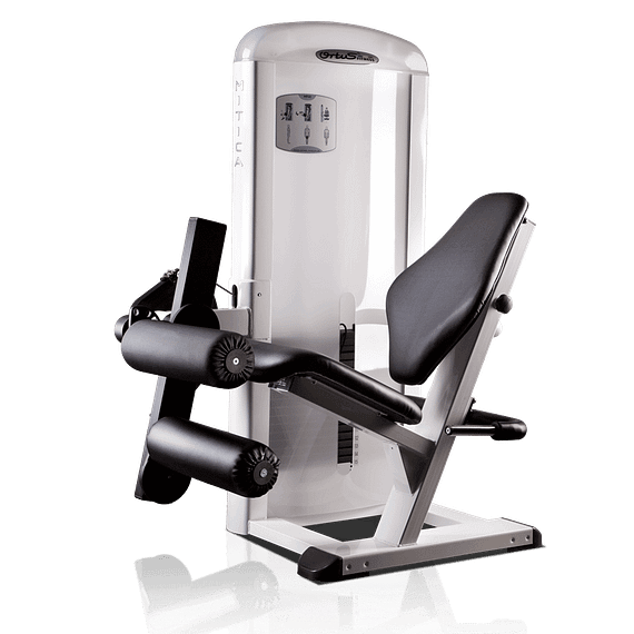 Máquina Femoral Sentado MP10